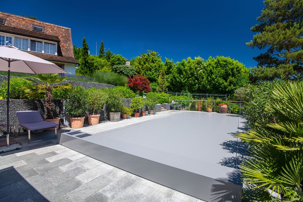 arbre à côté d'une piscine 