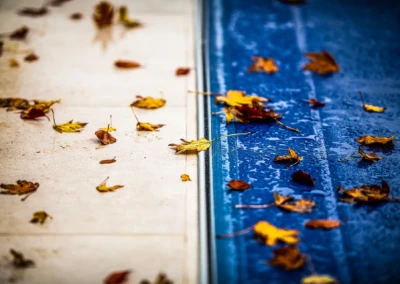 Feuilles mortes jaunes et brunes éparpillées sur un sol en pierre claire et une surface bleue mouillée.