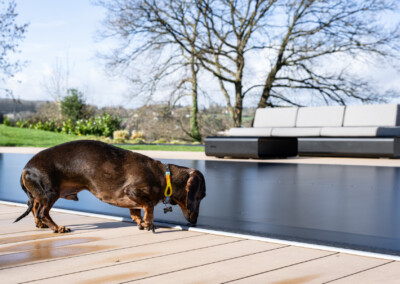 SCULPTURE - UPGRADE1 (1)